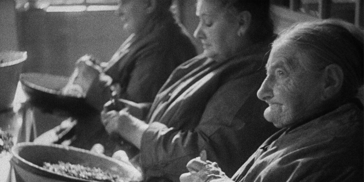 DE ROODE LOOPER SPECIAAL | NESJOMME