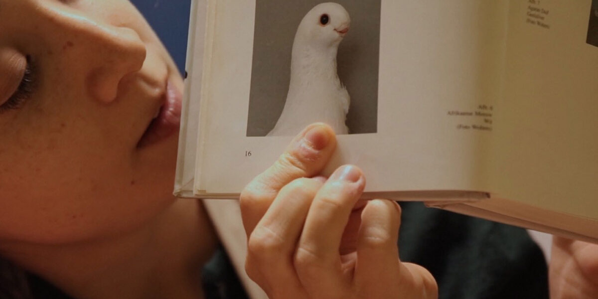 FILM | De Schaduwwerkers