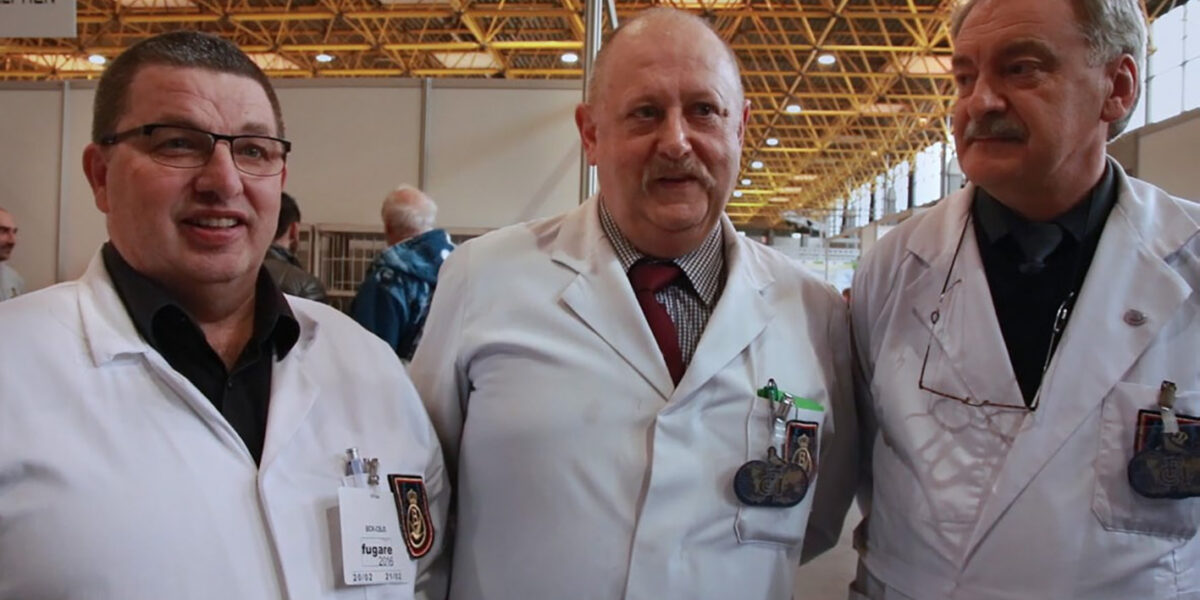 FILM | De Schaduwwerkers